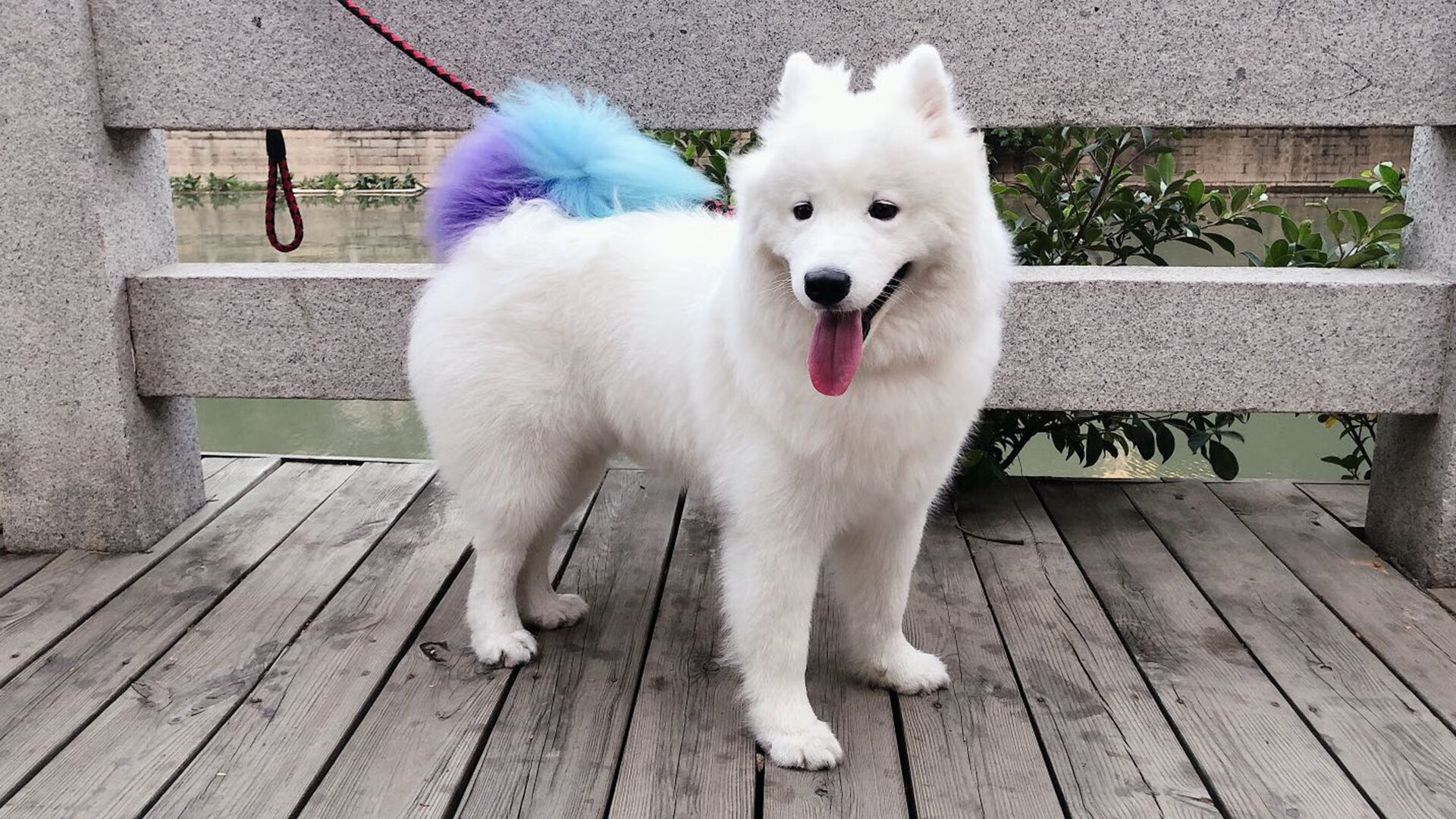 奥运周期的试金石，老鹰横扫公牛一役的深层启示