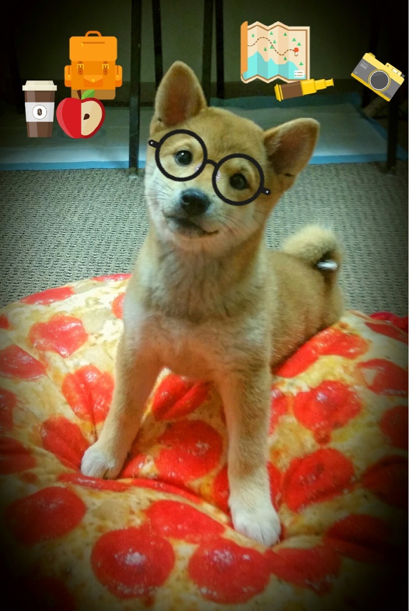 黄蜂之刺，逆袭狂潮如何将76人钉上总决赛的十字架